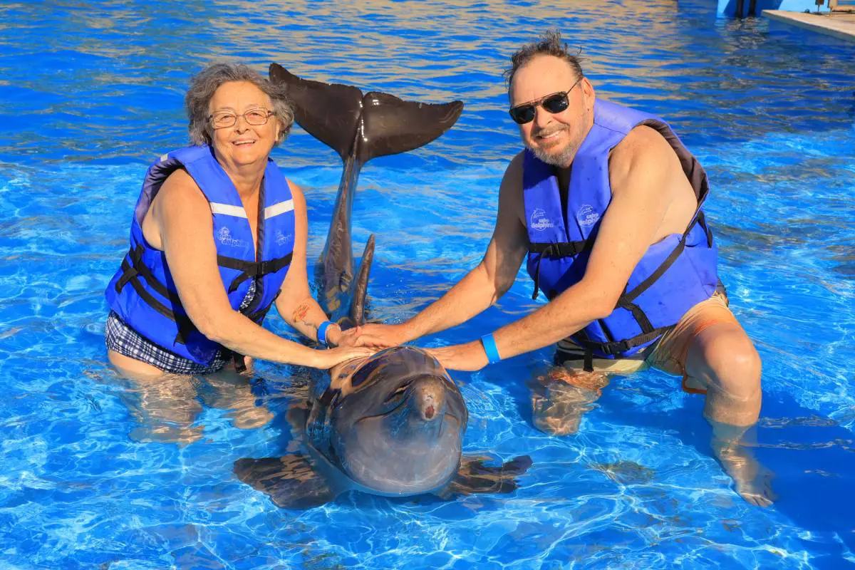 Two people in life vests touching a dolphin in a pool.